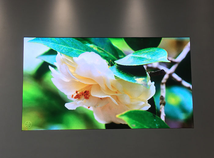 綠地606室內p2.5全彩